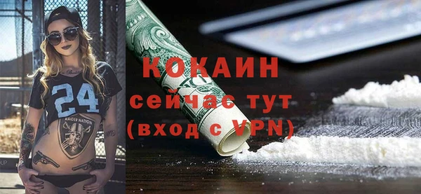 соль ск Абаза