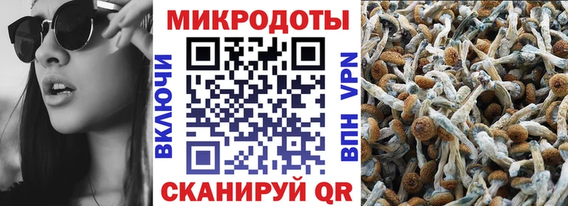 Галлюциногенные грибы GOLDEN TEACHER  Гусиноозёрск 